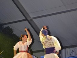 Festival de Folkore en Mula